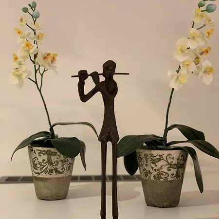 Apartment Janus Altstadt-hameln Haus 2 Inklusive Parkplatz - Mit Und Ohne Terrasse Oder Loggia Hamelin